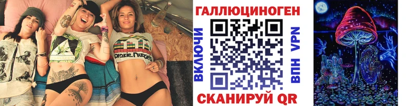 Псилоцибиновые грибы Psilocybe  даркнет сайт  Тутаев 
